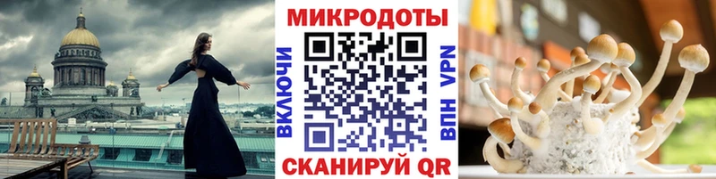 Галлюциногенные грибы GOLDEN TEACHER  Пестово 